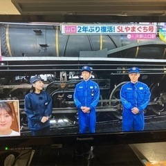 Panasonic  TH-19E300 19型液晶テレビ VI...