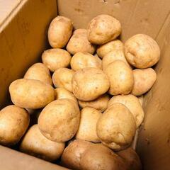 ニシユタカ男爵系☆根菜高騰、大変お値打ちです！