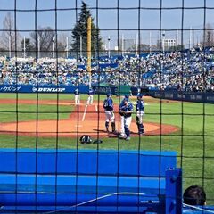 7/15,16日 神宮球場 ヤクルトVS中日戦 一緒に連番できる...