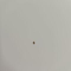 ダイニングテーブル+椅子2脚(赤、白)の画像