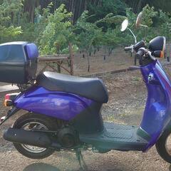 トゥデイ AF61キャブ車 実働中古車両 走行距離2700km!