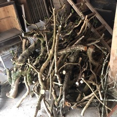 伐採済　枝の画像