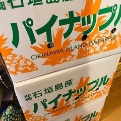 石垣島の甘々パイナップルの画像
