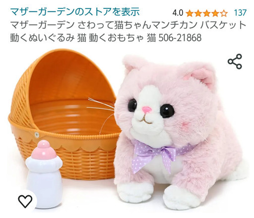 さわって猫ちゃんマンチカン