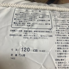 スポーツ  海水浴　浮き輪　大人用の画像