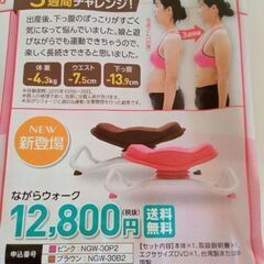 【美品】ショップジャパン★ながらウォーク★骨盤矯正の画像
