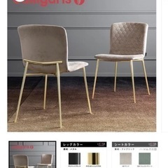 【2脚セット】Calligaris / カリガリス LOVE ラ...
