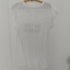 白Tシャツの画像