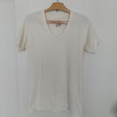Hanes白Tシャツ Vネック