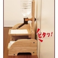 ペット　ペット用品　食器　ご飯の画像