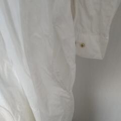 ワンピースの画像