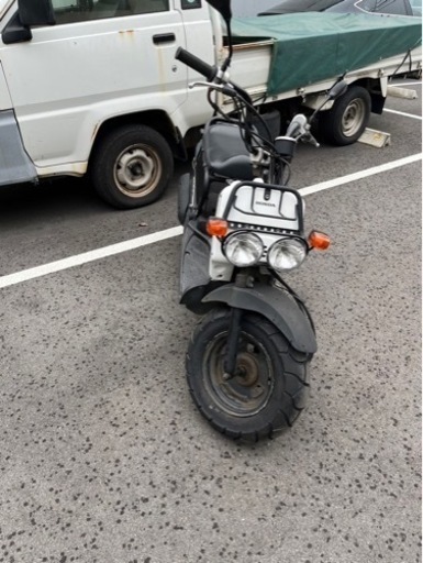 ズーマー　人気の白