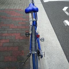 🚴スポーツwの画像