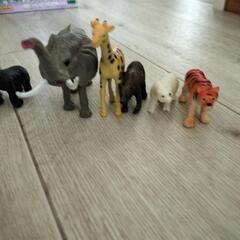 動物　アニマル　 フィギュア　お子さん　コレクションにの画像