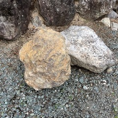 庭石の画像