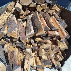 生活雑貨 家庭用品 ガーデニングの画像