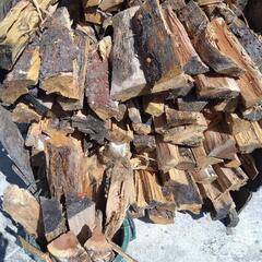 生活雑貨 家庭用品 ガーデニングの画像