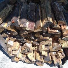 生活雑貨 家庭用品 ガーデニングの画像