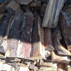 生活雑貨 家庭用品 ガーデニングの画像