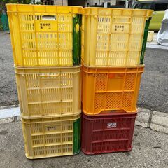 👩‍🌾みかんコンテナ差し上げます