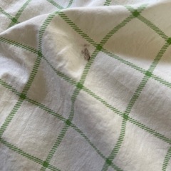 ベビー布団　　保育園　赤ちゃんの画像