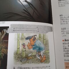 小学館の図鑑NEO    星と星座の画像