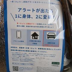 雹害 クルマ カバーの画像