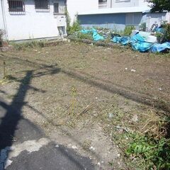 植木処分・草刈・伐採はサカモト・サービス（西宮市） − 兵庫県