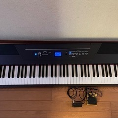 電子ピアノ ALESIS Rectial Pro 中古品 （7/...