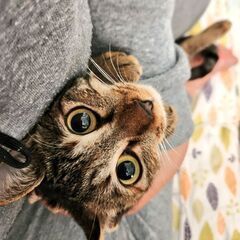 トライアル決定ゴロスリでおしゃべりな女の子、置き餌大丈夫です。