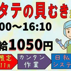 【カンタン☆もくもく作業】水産加工〈湧別〉