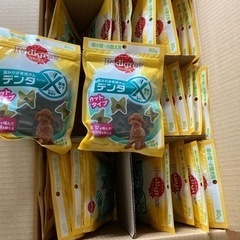 老犬用食品