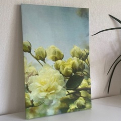 値下げ‼︎IKEA アート　壁飾りの画像