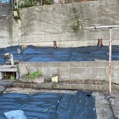 新潟県　ハチ駆除・草刈伐採・カギ屋・ロードサービス　便利屋の作業員募集！！ の画像