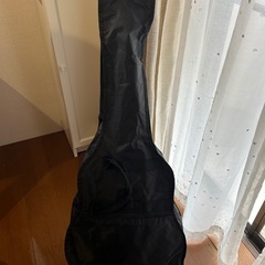 アコースティックギター初心者セットの画像