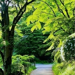 5月23日（木）お時間ありませんか⁉️