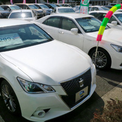 中古車販売店の方に業務のことを細かくインタビューしたいです。