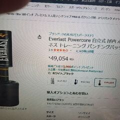 エバーラスト　everlast　自立式　パンチングバック　大型品　中古品の画像