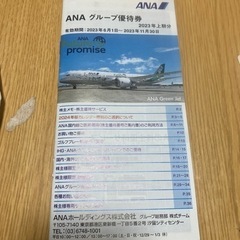 ANA  株主優待　その他優待券付の画像