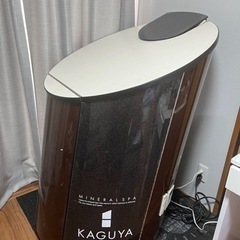 家庭用サウナの画像