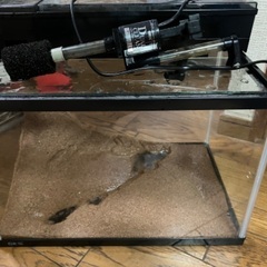 GEX45水槽セット　