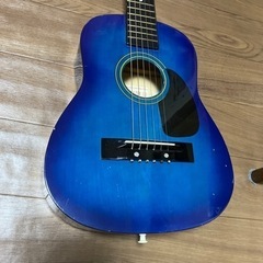 楽器 弦楽器、ギター