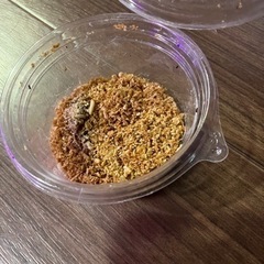 ハニーワーム30匹の画像
