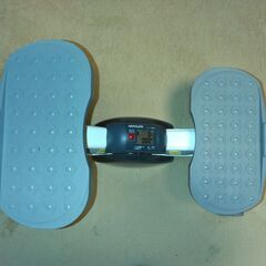 AEROLIFE エアロライフ サイドステッパー　中古品の画像