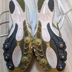 asics japan thunder　スパイクの画像