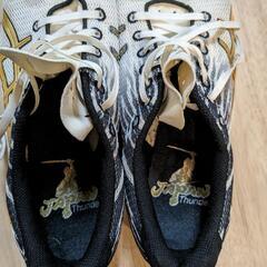 asics japan thunder　スパイクの画像