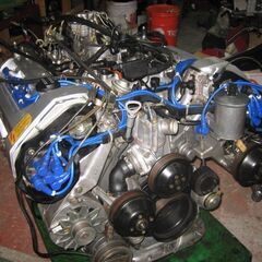 神谷健太 クッション W2P（Special）