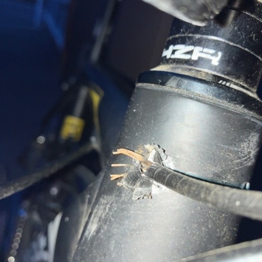 RIDLEY FENIX AL 105 XXS【おまけ付き】
