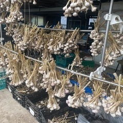 生活雑貨 洗濯用品 物干し竿、ロープ