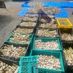 生活雑貨 洗濯用品 物干し竿、ロープの画像